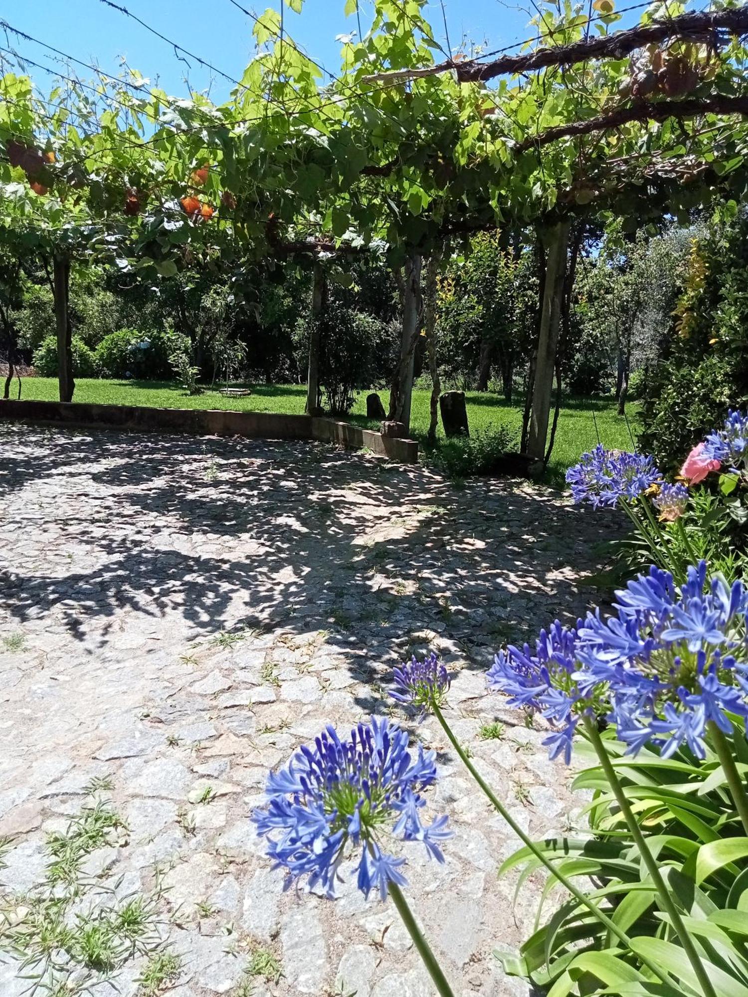 Casa Das Guimaraes 폰테 데 리마 외부 사진